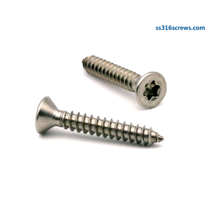 #6 #8 #10 Tornillos de cabeza plana con accionamiento Torx de acero inoxidable 316 para chapa metálica